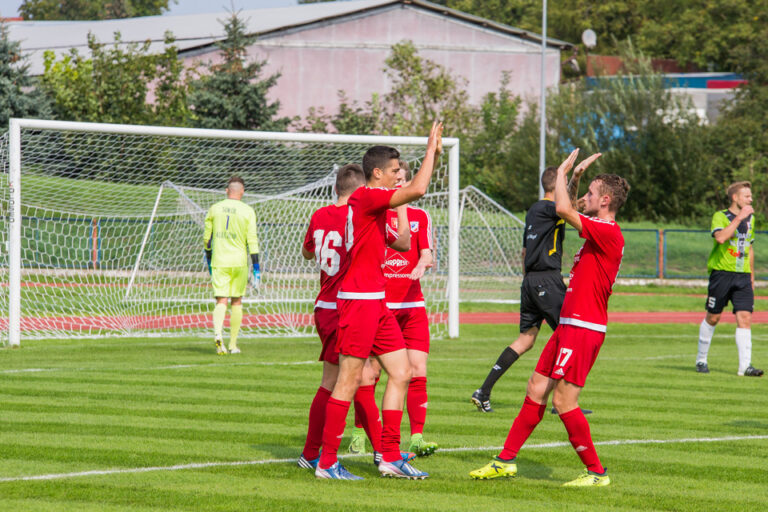 wda-sokol-4
