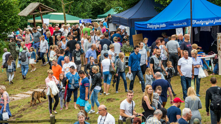 festiwal-23