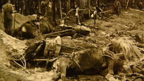 18po-niemieckim-bombardowaniu-polskich-oddzialow-na-przeprawie-pod-przechowem