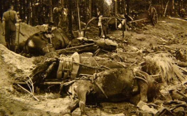 18po-niemieckim-bombardowaniu-polskich-oddzialow-na-przeprawie-pod-przechowem