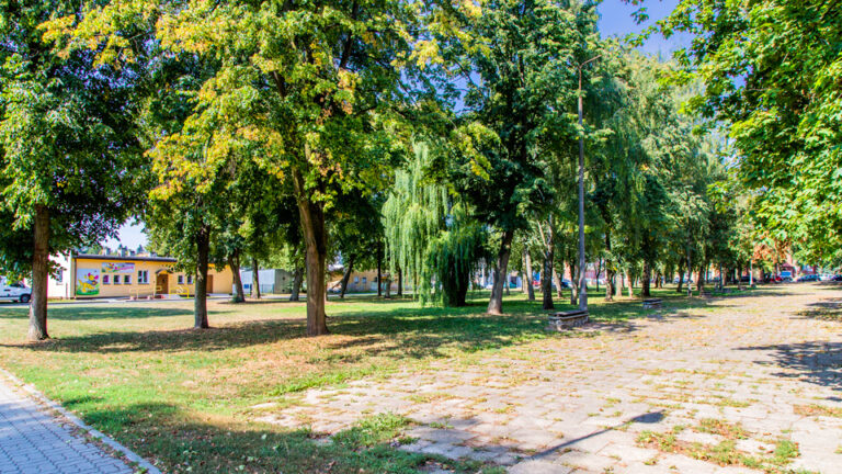 park-hallera