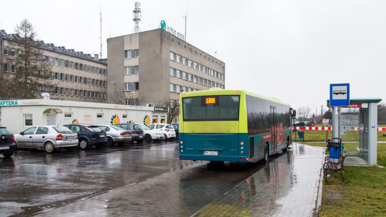 strzaly-1