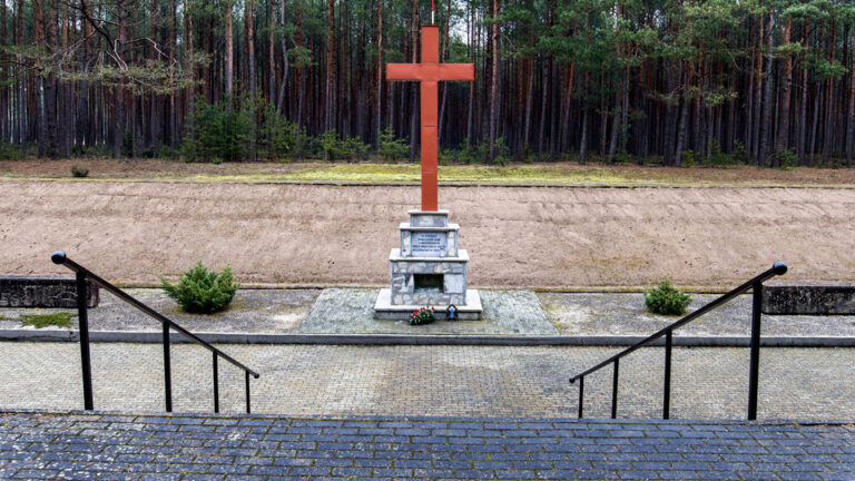 mniszek-mogila